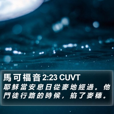 馬 可 福 音 2:23 CUVT Bible Verse Image