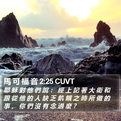 馬 可 福 音 2:25 CUVT Bible Verse Image