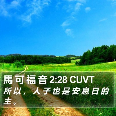 馬 可 福 音 2:28 CUVT Bible Verse Image