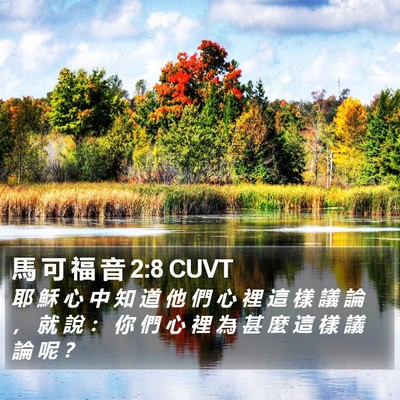 馬 可 福 音 2:8 CUVT Bible Verse Image