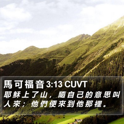 馬 可 福 音 3:13 CUVT Bible Verse Image