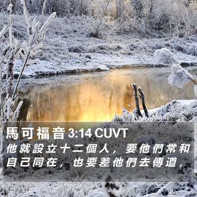 馬 可 福 音 3:14 CUVT Bible Verse Image