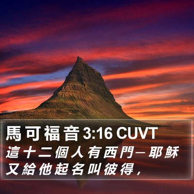 馬 可 福 音 3:16 CUVT Bible Verse Image