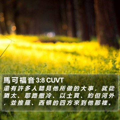 馬 可 福 音 3:8 CUVT Bible Verse Image