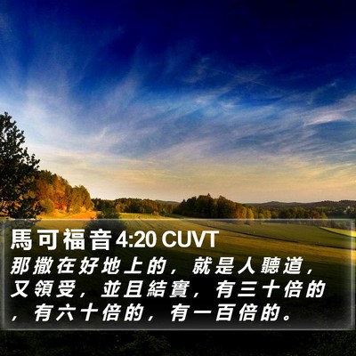 馬 可 福 音 4:20 CUVT Bible Verse Image
