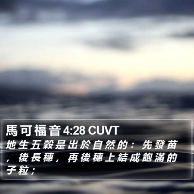 馬 可 福 音 4:28 CUVT Bible Verse Image