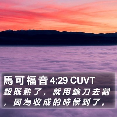 馬 可 福 音 4:29 CUVT Bible Verse Image