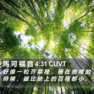 馬 可 福 音 4:31 CUVT Bible Verse Image
