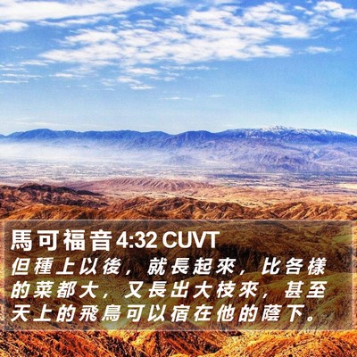 馬 可 福 音 4:32 CUVT Bible Verse Image