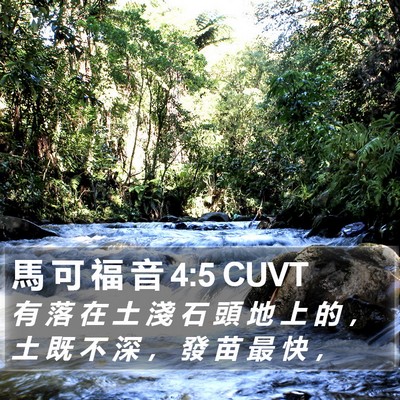 馬 可 福 音 4:5 CUVT Bible Verse Image