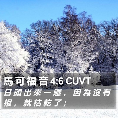馬 可 福 音 4:6 CUVT Bible Verse Image