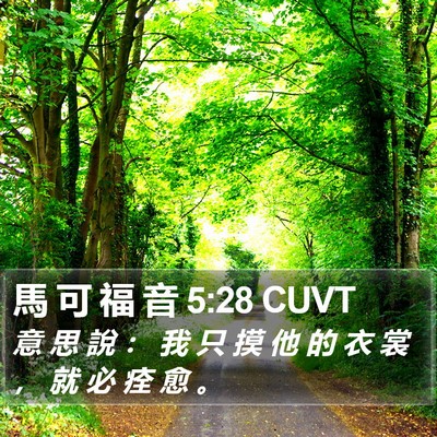 馬 可 福 音 5:28 CUVT Bible Verse Image