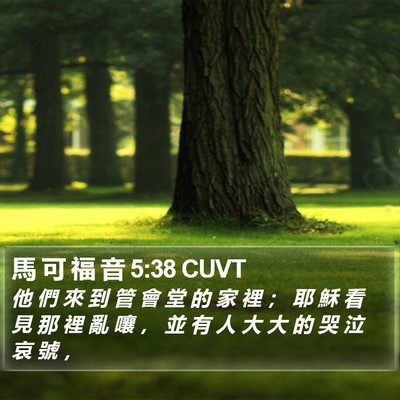 馬 可 福 音 5:38 CUVT Bible Verse Image