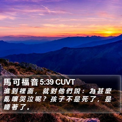馬 可 福 音 5:39 CUVT Bible Verse Image