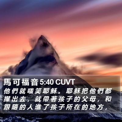 馬 可 福 音 5:40 CUVT Bible Verse Image