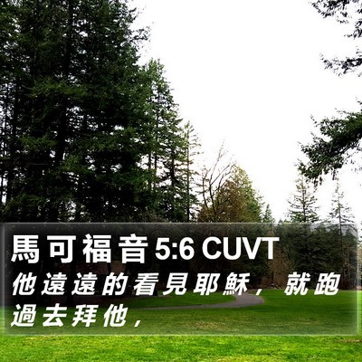 馬 可 福 音 5:6 CUVT Bible Verse Image