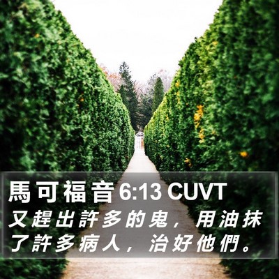馬 可 福 音 6:13 CUVT Bible Verse Image