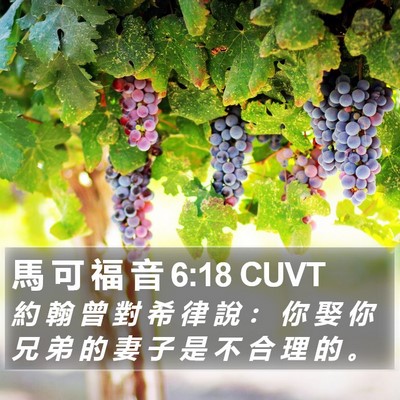 馬 可 福 音 6:18 CUVT Bible Verse Image
