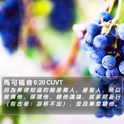 馬 可 福 音 6:20 CUVT Bible Verse Image