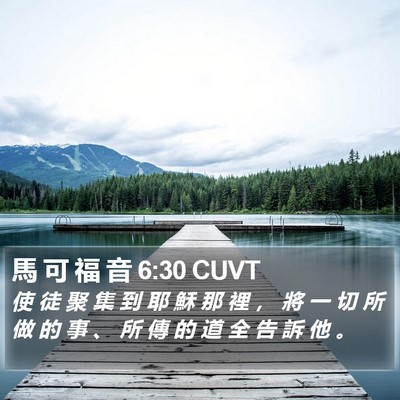馬 可 福 音 6:30 CUVT Bible Verse Image