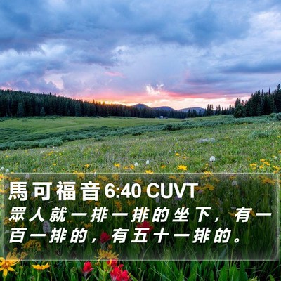 馬 可 福 音 6:40 CUVT Bible Verse Image