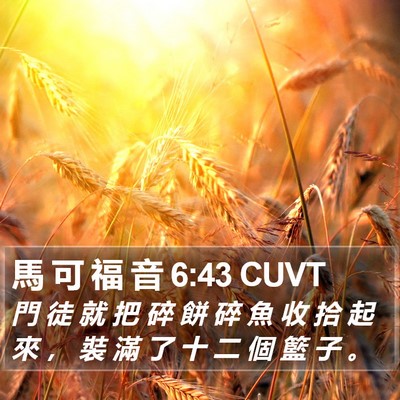 馬 可 福 音 6:43 CUVT Bible Verse Image
