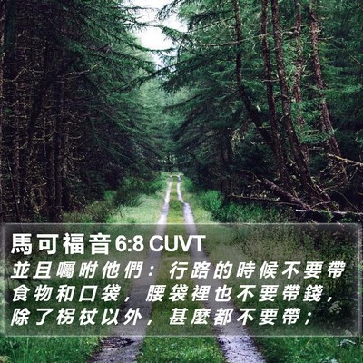 馬 可 福 音 6:8 CUVT Bible Verse Image