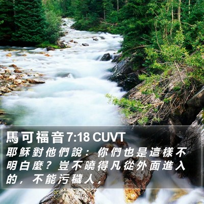 馬 可 福 音 7:18 CUVT Bible Verse Image