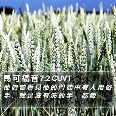 馬 可 福 音 7:2 CUVT Bible Verse Image