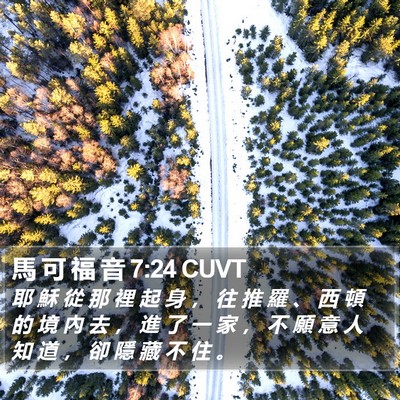 馬 可 福 音 7:24 CUVT Bible Verse Image