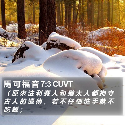 馬 可 福 音 7:3 CUVT Bible Verse Image