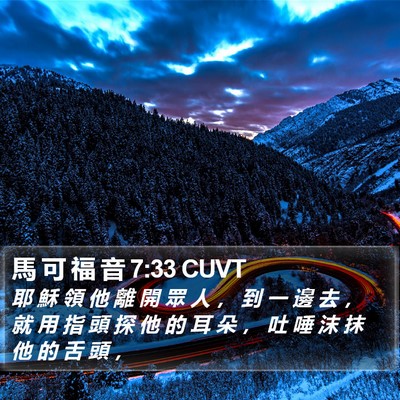 馬 可 福 音 7:33 CUVT Bible Verse Image
