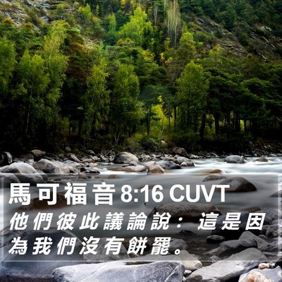 馬 可 福 音 8:16 CUVT Bible Verse Image