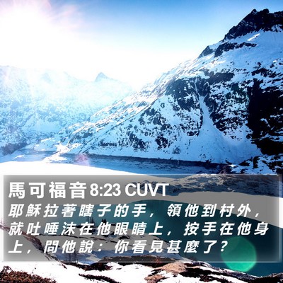 馬 可 福 音 8:23 CUVT Bible Verse Image