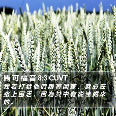 馬 可 福 音 8:3 CUVT Bible Verse Image