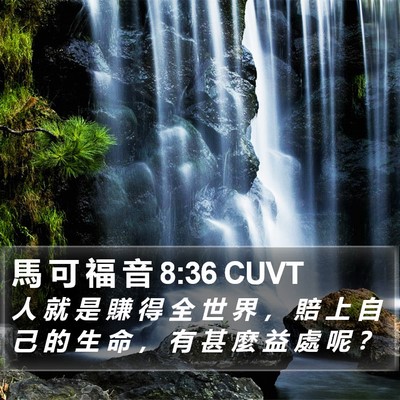 馬 可 福 音 8:36 CUVT Bible Verse Image