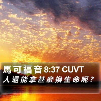 馬 可 福 音 8:37 CUVT Bible Verse Image
