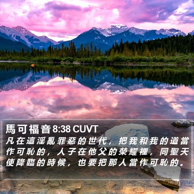 馬 可 福 音 8:38 CUVT Bible Verse Image