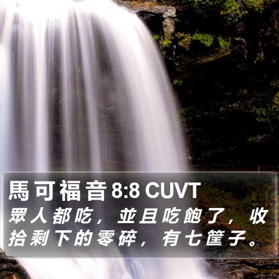 馬 可 福 音 8:8 CUVT Bible Verse Image