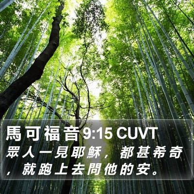 馬 可 福 音 9:15 CUVT Bible Verse Image