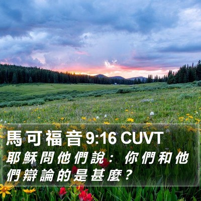 馬 可 福 音 9:16 CUVT Bible Verse Image