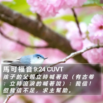 馬 可 福 音 9:24 CUVT Bible Verse Image