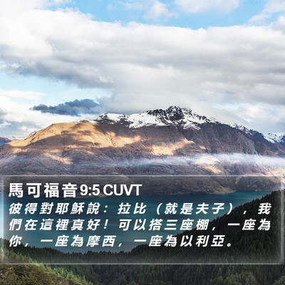 馬 可 福 音 9:5 CUVT Bible Verse Image