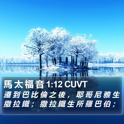 馬 太 福 音 1:12 CUVT Bible Verse Image