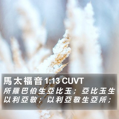 馬 太 福 音 1:13 CUVT Bible Verse Image