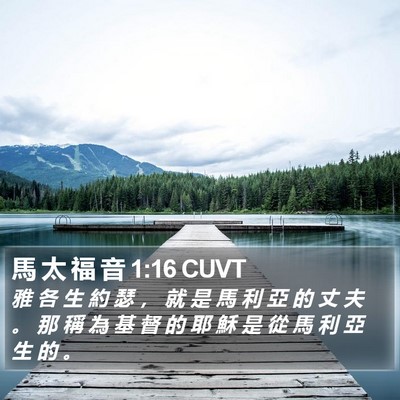 馬 太 福 音 1:16 CUVT Bible Verse Image