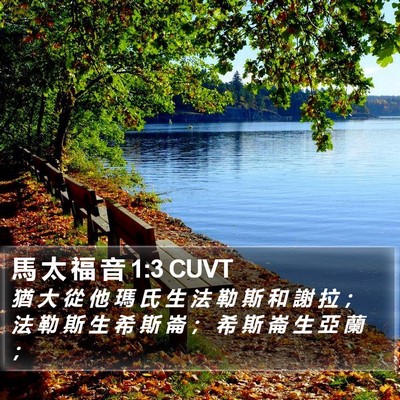 馬 太 福 音 1:3 CUVT Bible Verse Image