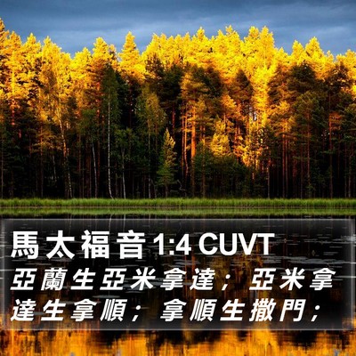 馬 太 福 音 1:4 CUVT Bible Verse Image