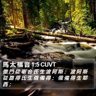 馬 太 福 音 1:5 CUVT Bible Verse Image