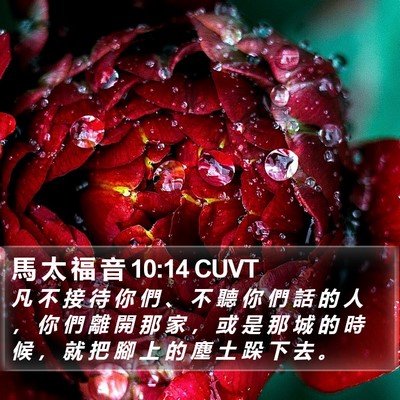 馬 太 福 音 10:14 CUVT Bible Verse Image